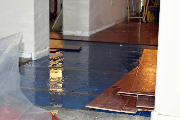 Professional Sewage Cleanup technician working in Weston, NJ